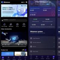 海外基金项目投资理财源码/英文理财投资源码