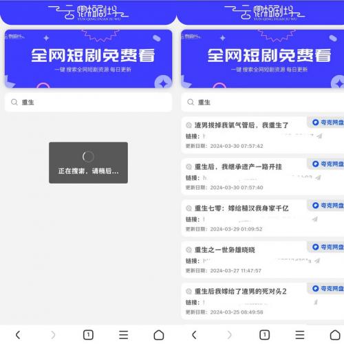 引流源码短剧搜索前端源码+内附搜索API
